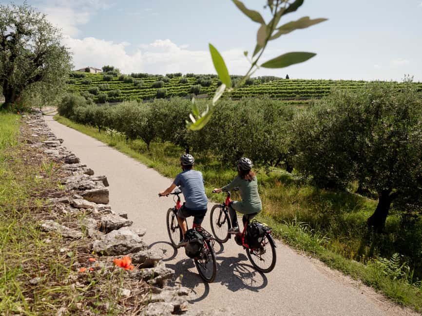 Verona: Valpolicella Wine Self-Guided E-Bike Tour & Tastings - Who should book this Valpolicella e-bike day