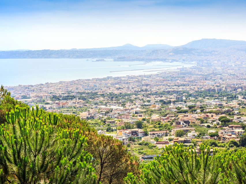 Vesuvius & Pompeii with Transfer & Audio Guide - The Six-Hour Rhythm: Vesuvius First, Pompeii Second
