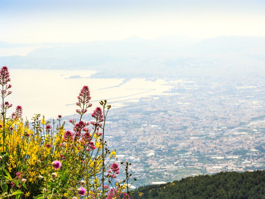 Vesuvius & Pompeii with Transfer & Audio Guide - Naples Pickup Points and the Minibus Beat