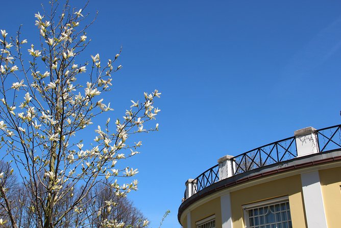Walk Malmö with an audio guide - Where you start and why it changes your day