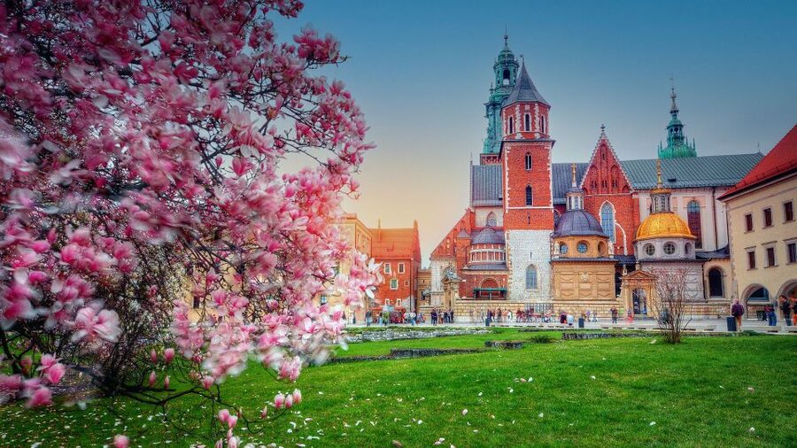 Wawel Hill Tour with Audio Guide - Meeting at Bracka 15 and Getting Started the Easy Way