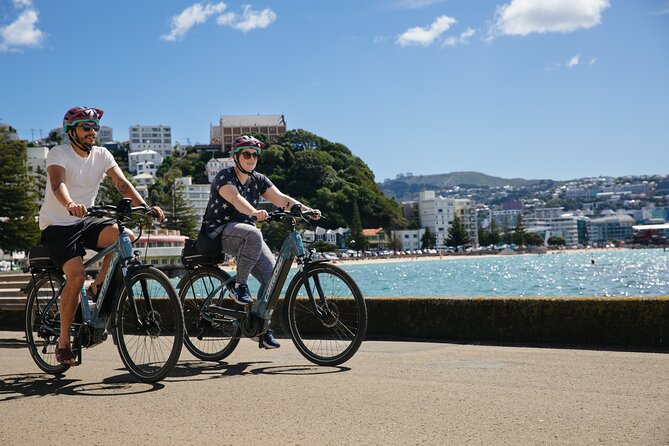 Wellington Self-Guided Electric Bike Tour - Key Things That Make This Ride Worth It