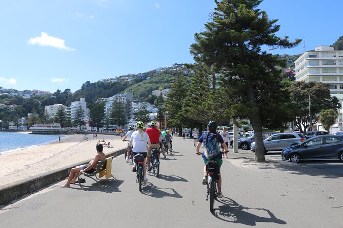 Wellington Self-Guided Electric Bike Tour - Starting at 15/22 Herd Street: Getting Your Setup Right