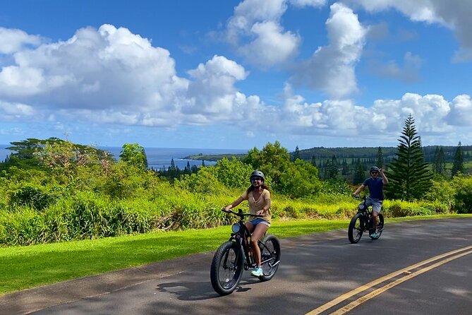 West Maui eBike Self-Guided Island Adventure Tour - Value in real life: why this format can be worth it