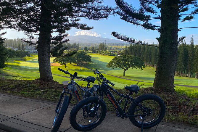 West Maui: Self-Guided E-Bike Kapalua Jungle Adventure Tour - What you actually see: coastlines, beaches, and panoramic overlooks