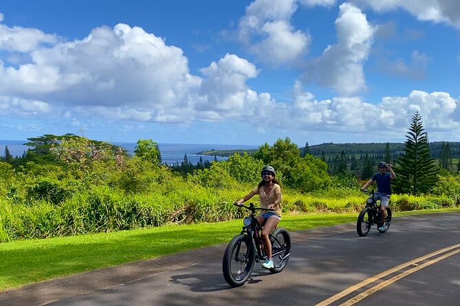 West Maui: Self-Guided E-Bike Kapalua Jungle Adventure Tour - The “later” part of the ride: coffee farms and sand dunes