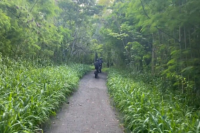 West Maui: Self-Guided E-Bike Kapalua Jungle Adventure Tour - Comfort for families: child seats, kid passenger rules, and adult fit