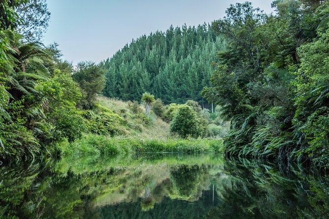 Whaka Geothermal Trails Self-Guided Tour - Shoes, sun, and geothermal commonsense