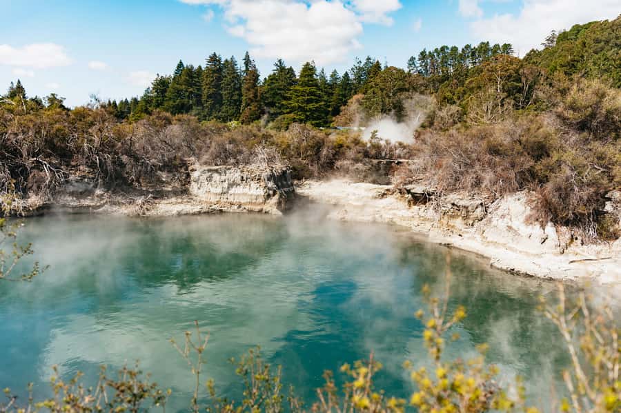 Whakarewarewa: Self-Guided Geothermal Trails - Starting at Geyser Café: quick orientation before you walk