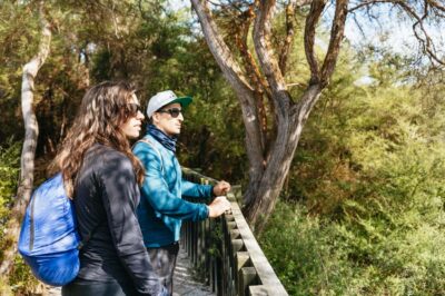 Whakarewarewa: Self-Guided Geothermal Trails - Rahui and village views: start with context, then hit the steam