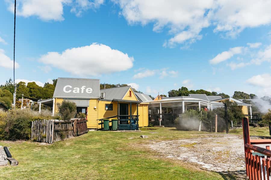 Whakarewarewa: Self-Guided Geothermal Trails - Manuka, ferns, and edible plants: the nature layer people miss