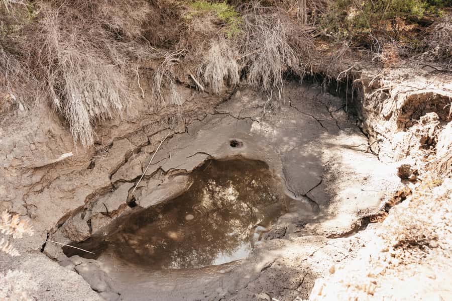 Whakarewarewa: Self-Guided Geothermal Trails - Price and value: is $23 worth a self-guided geothermal day?