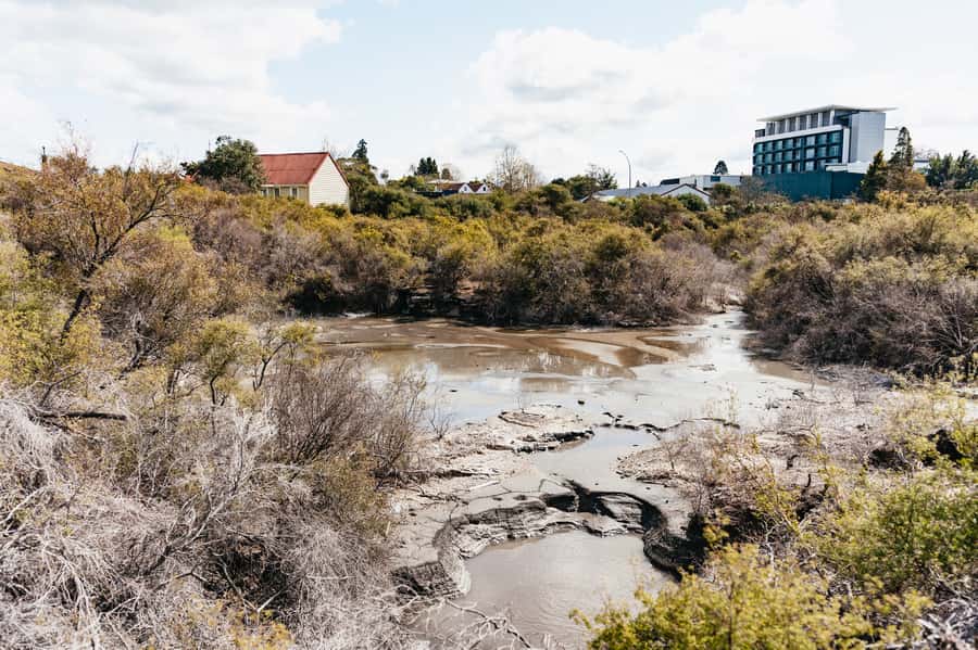 Whakarewarewa: Self-Guided Geothermal Trails - Pacing and timing: how to fit it into your North Island plans