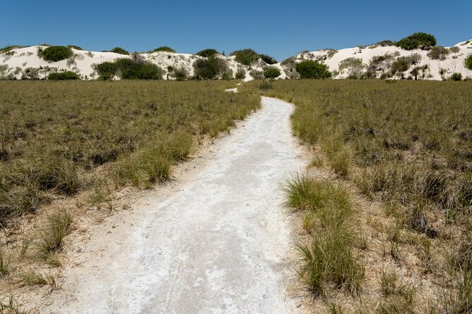 White Sands National Park Self-Guided Driving & Walking Tour - Dune Life Nature Trailhead: short hike, family and dog friendly
