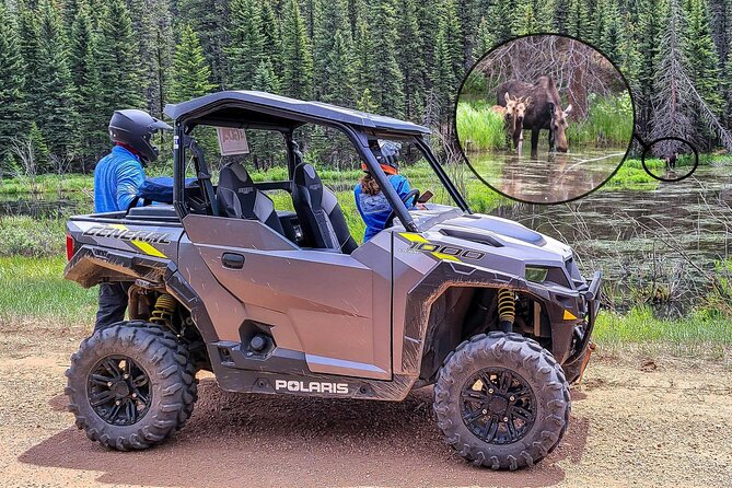 Woodland Park: 4-Hour Self-Guided Mountain UTV Tour - You Drive - How the GPS map and loaner tablet keep you on the right trail