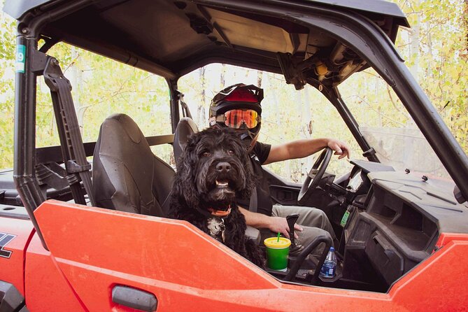 Woodland Park: 4-Hour Self-Guided Mountain UTV Tour - You Drive - What’s included in the price—and what that means for your wallet