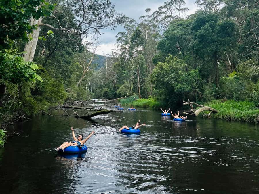 Yarra Valley: Self-Guided River Tubing Adventure - Why this Upper Yarra tube float is more fun than you expect