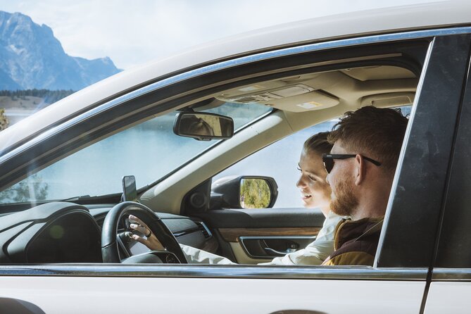 Yellowstone National Park Self-Guided Audio Tour - Continental Divide, bridges, and wildlife chances in Hayden Valley