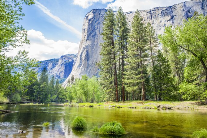Yosemite National Park Self Guided Driving Audio Tour Guide - Stop 11 and Stop 12: Half Dome, then Yosemite Village