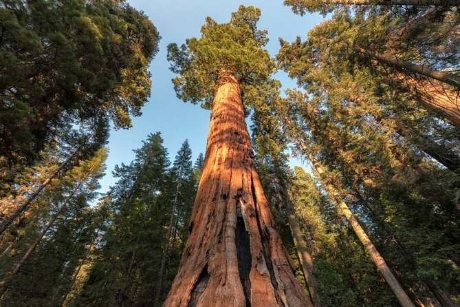 Yosemite National Park Self Guided Driving Audio Tour Guide - Offline audio, GPS cues, and your best setup in the car