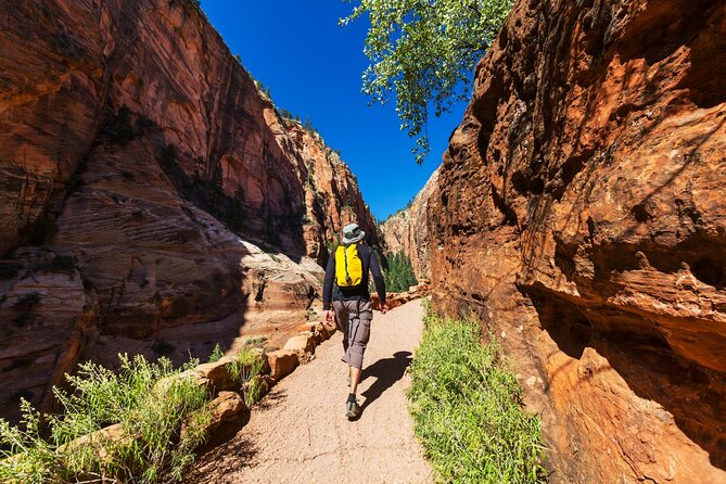 Zion National Park Self-Guided Driving & Shuttling Tour - Court of the Patriarchs: iconic peaks and the park’s visitor story
