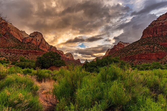 Zion National Park Self-Guided Driving & Shuttling Tour - Emerald Pools and Angel’s Landing: water, elevation, and permit reality