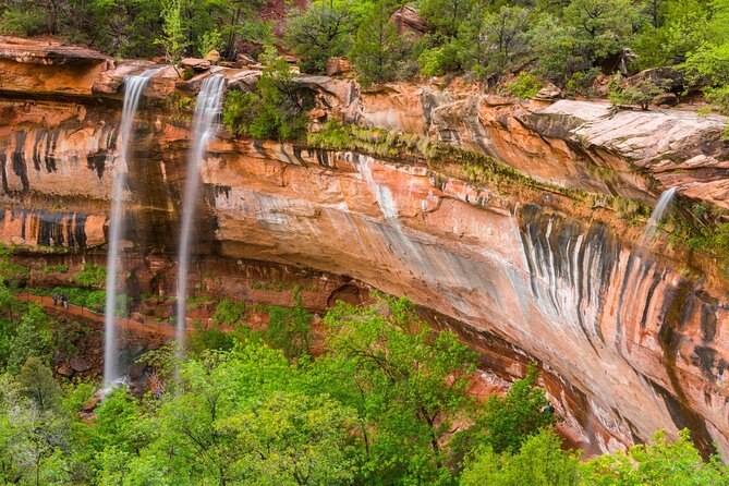 Zion National Park Self-Guided Driving & Shuttling Tour - Grotto Picnic Area to Weeping Rock: short stops that feel worth it